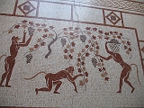 Villa Kerylos (39)